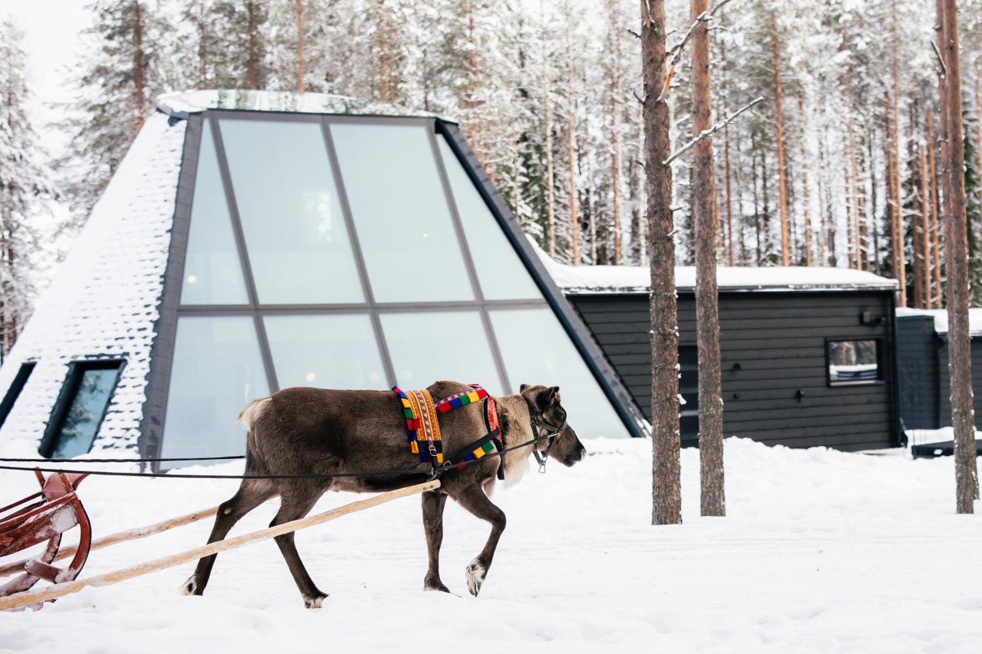 Glass Resort روفانييمي الغرفة الصورة